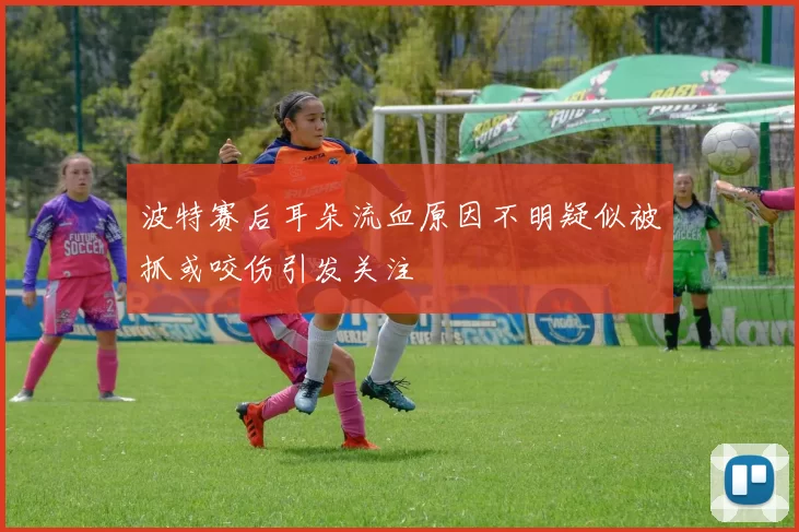 波特赛后耳朵流血原因不明疑似被抓或咬伤引发关注